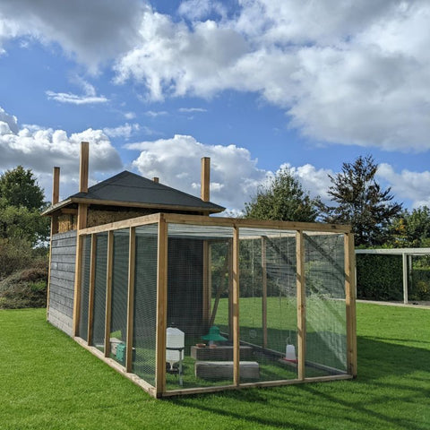 Complete hooiberg Kippenhok An in XL. Foto vanaf achterkant.