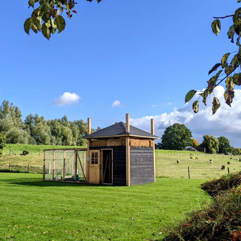 Complete hooiberg Kippenhok An in XL. Foto genomen vanaf afstand