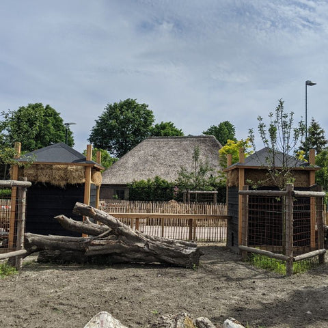 Kippen- en geitenhooiberg met loopbrug