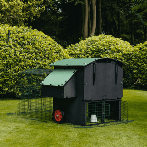 Sfeerfoto Nestera kunststof kippenhok groot met 2 meter ren schuin achteraanzicht, in een achtertuin op het gras. 