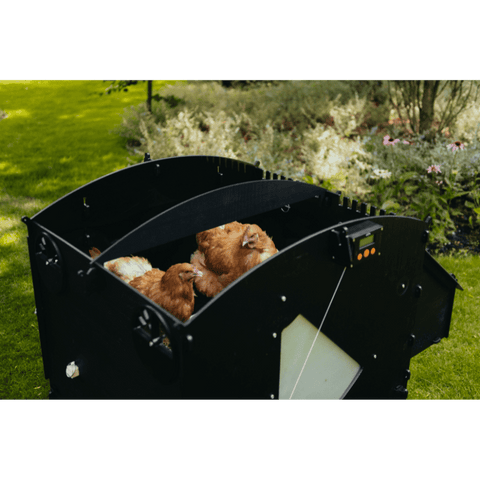 Sfeerfoto Nestera kunststof kippenhok groot schuin vooraanzicht, in een achtertuin op het gras. Het dak van het kippenhok is verwijderd, waardoor je de binnenzijde ziet met enkele kippen in het kippenhok.