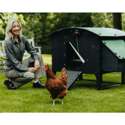 Sfeerfoto Nestera kunststof kippenhok groot op poten schuin vooraanzicht, in een achtertuin op het gras. Naast het kippenhok zit een vrouw gehurkt en voor het kippenhok loopt een kip.