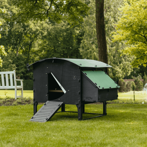 Sfeerfoto Nestera kunststof kippenhok groot schuin vooraanzicht, in een achtertuin op het gras.