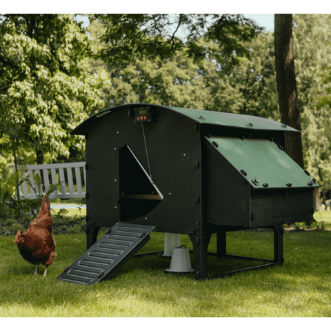 Sfeerfoto Nestera kunststof kippenhok groot op poten schuin vooraanzicht, in een achtertuin op het gras en met een kip die voor het kippenhok loopt.