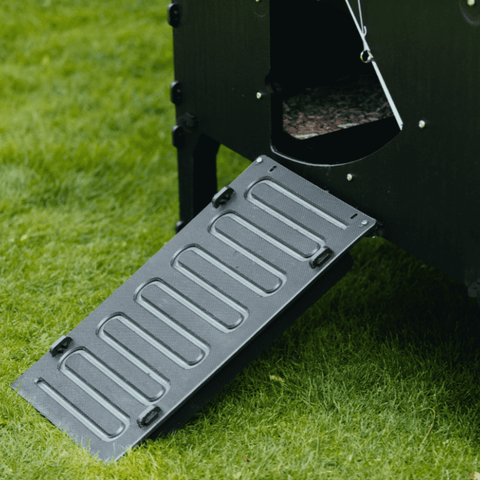 Sfeerfoto Nestera kunststof kippenhok groot op poten zijaanzicht, in een achtertuin op het gras. De foto is ingezoomd op de loopplank voor de kippen.