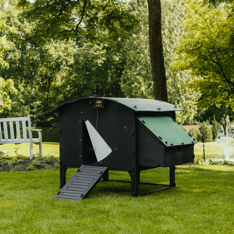 Sfeerfoto Nestera kunststof kippenhok groot op poten schuin vooraanzicht, in een achtertuin op het gras.