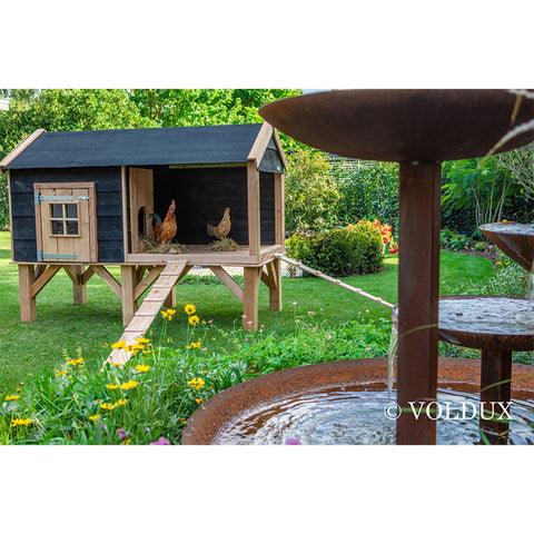 Voldux Kippenhok David