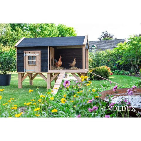 Voldux kippenhok David
