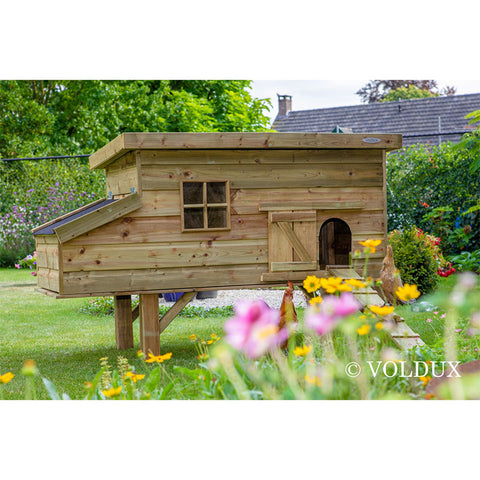 Kippenhok Finn Voldux