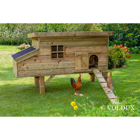 Kippenhok Finn Voldux