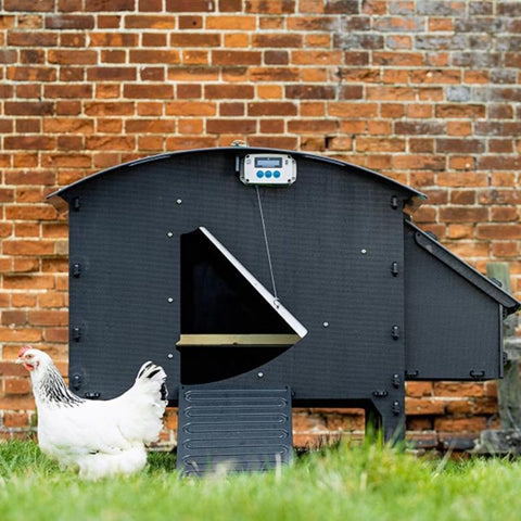 Kunststof Kippenhok Nestera Large op pootjes - 139x136x100cm