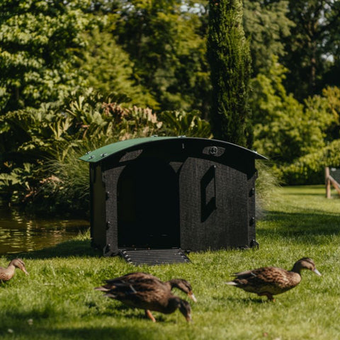 Kunststof Konijnenhok / Eendenhok Large Nestera - 114x100x78cm
