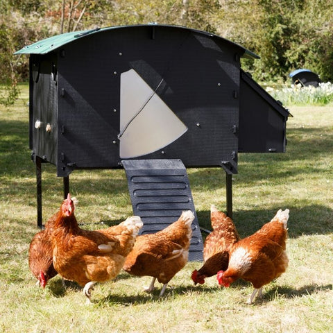 Kunststof Kippenhok Nestera Large op pootjes - 139x136x100cm