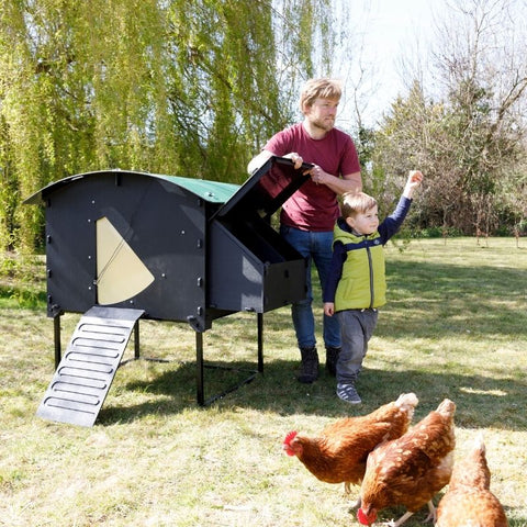 Kunststof Kippenhok Nestera Large op pootjes - 139x136x100cm