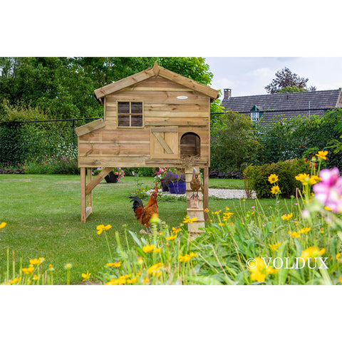 Kippenhok Jasper Voldux