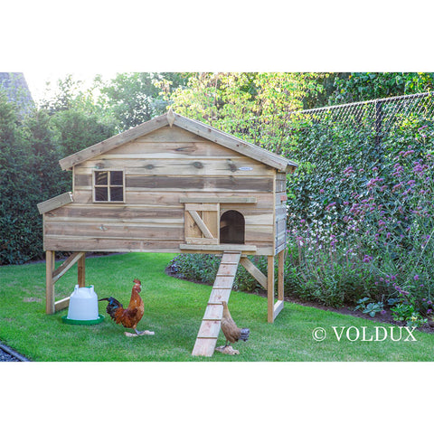 Kippenhok Jasper XL Voldux