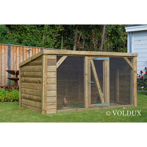 Kippenren Britt Voldux